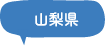 山梨県